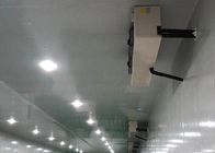 Kundengebundener Dichte-Kühlraum des 100mm Platten-abkühlender Lagerraum-42KG/M3 für Fleisch-Speicher