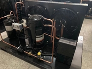 Kondensierendes Einheits-kühler Raum-Kühlgerät Emerson Copeland Hermetic Air Cooleds