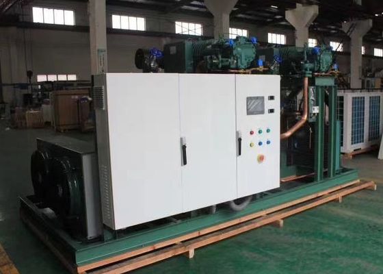 Kühle kondensierende Einheit des Raum-28HP der Kühlgeräte-6HE-28Y R404a