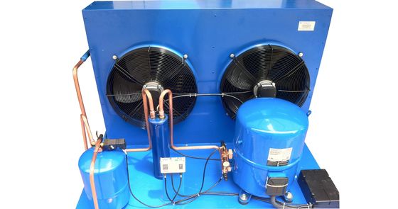 Hermetische luftgekühlte Refrigertion Einheit Frankreichs Maneurop, kundengebundene luftgekühlte kondensierende Einheit benutzt für Coldroom-Speicher