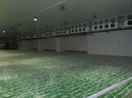 Bestellte Platten-Gemüsekühlraum-Raum der Kühlraum-100mm voraus