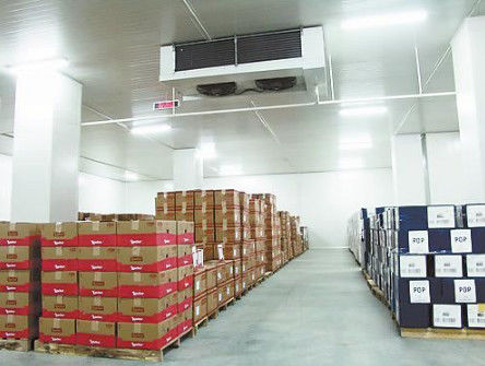 Rechtwinkliger Weg SS304 Platten-im industriellen Gefrierschrank-Raum Coldroom 200mm