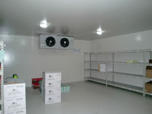 Rechtwinkliger Weg SS304 Platten-im industriellen Gefrierschrank-Raum Coldroom 200mm