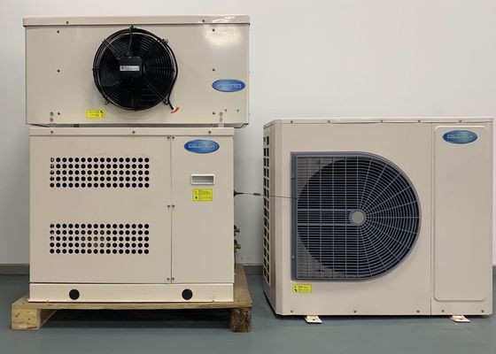 Gefrierschrank-Raum-kondensierende Einheit 220V 50Hz